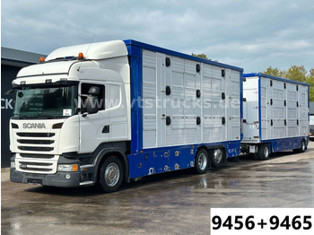 Camion transport animale SCANIA R 480