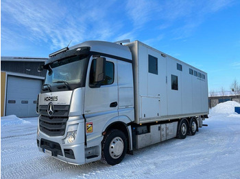 Camion transport animale MERCEDES-BENZ Actros