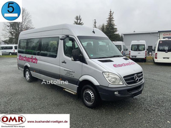 Microbuz MERCEDES-BENZ Sprinter 516