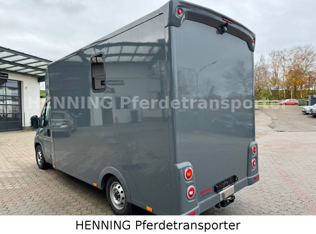 Camion transport cai Fiat Ducato *NEUWAGEN* ca.1100 kg Nutzlast: Foto 12
