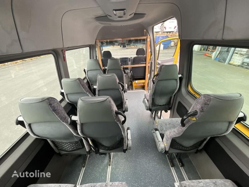 Microbuz, Transport persoane Mercedes Sprinter 516 CDI: Foto 14