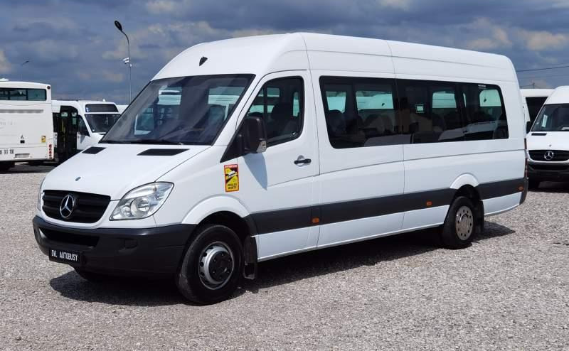 Microbuz, Transport persoane Mercedes-Benz Sprinter 2011 *Euro 5*: Foto 17