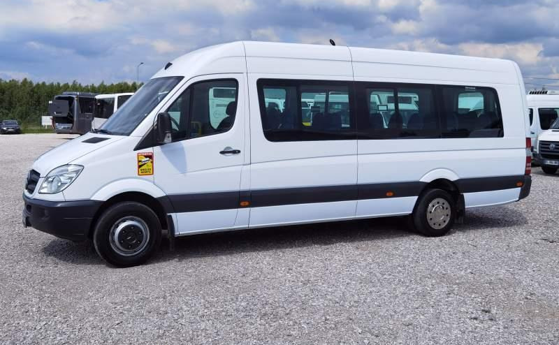 Microbuz, Transport persoane Mercedes-Benz Sprinter 2011 *Euro 5*: Foto 15