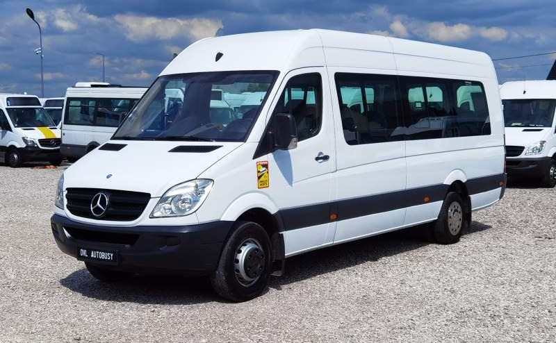 Microbuz, Transport persoane Mercedes-Benz Sprinter 2011 *Euro 5*: Foto 13