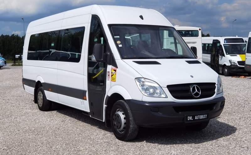 Microbuz, Transport persoane Mercedes-Benz Sprinter 2011 *Euro 5*: Foto 10