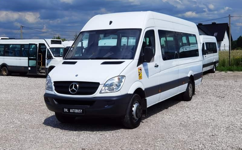 Microbuz, Transport persoane Mercedes-Benz Sprinter 2011 *Euro 5*: Foto 16