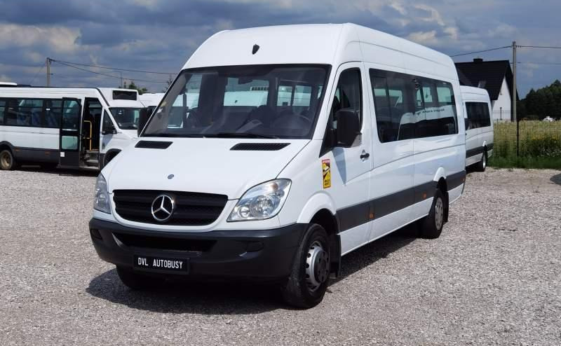 Microbuz, Transport persoane Mercedes-Benz Sprinter 2011 *Euro 5*: Foto 14