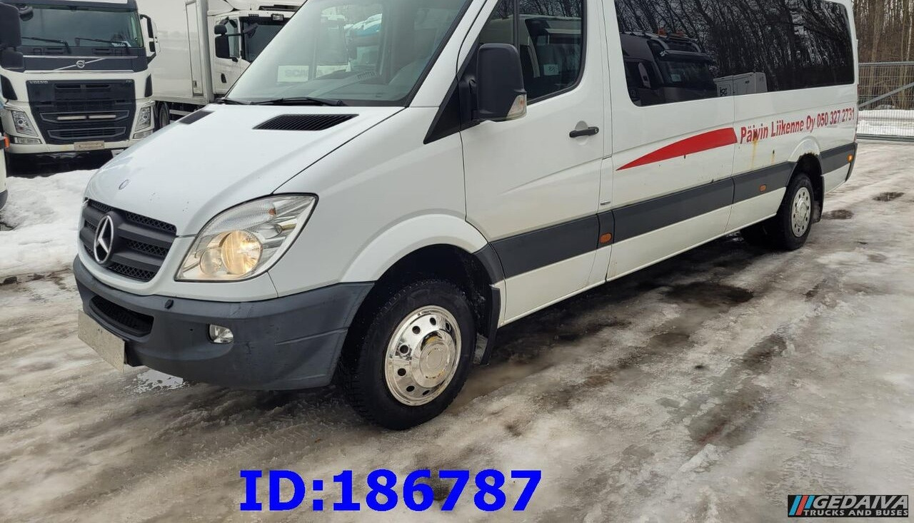 Microbuz, Transport persoane Mercedes-Benz Sprinter 516: Foto 1